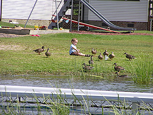 child near ducks and geese at wishbone resort